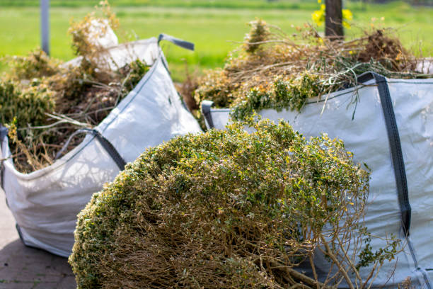 Full-Service Junk Removal in Lake Elsinore, CA